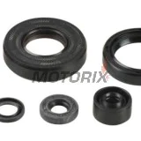 Kompletní sada gufer motoru -ATHENA- Kawasaki KX 125 1994-2008