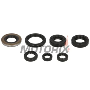 Sada gufer motoru -WINDEROSA- Honda XR 400 1996-1998