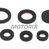 Sada gufer motoru -WINDEROSA- Yamaha YFM 80 1992-1998, 2000-2008