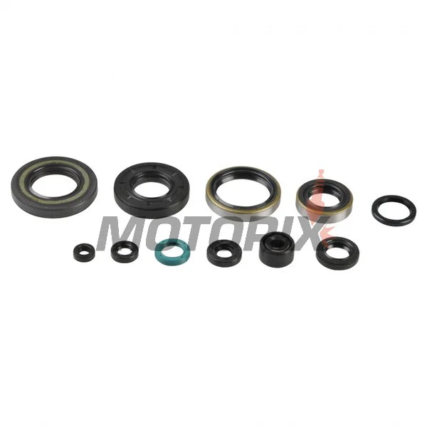 Kompletní sada gufer motoru -ATHENA- Kawasaki KX 250 1993-2004