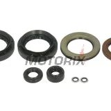 Sada gufer motoru -WINDEROSA- Arctic Cat Arctic Cat 500 2013-2014, Arctic Cat TRV 500 2013-2014