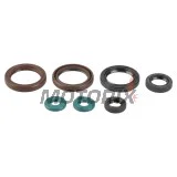 Sada gufer motoru -ATHENA- KTM EXC 400/450/530 2009-2011, EXC-F 450 2009-2011, XC-W 400 2008-2011, XC-W 530 2009-2011