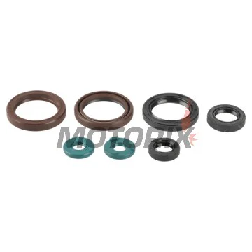 Sada gufer motoru -ATHENA- KTM EXC 400/450/530 2009-2011, EXC-F 450 2009-2011, XC-W 400 2008-2011, XC-W 530 2009-2011