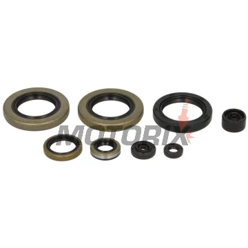Sada gufer motoru -WINDEROSA- Kawasaki KX 500 1989-2004