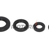 Sada gufer motoru -WINDEROSA- Honda TRX 250 1997-2001