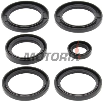 Opravná sada diferenciálu -ALL BALLS- Kawasaki KFX 700 2005-2007, 2009, KVF 360 2003-2013, KVF 650 2002-2003, 2005-2013, KVF 700 2006