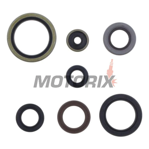 Sada gufer motoru -ATHENA- Husqvarna TC 250 2017-2022, TE 250 2014/2017-2018/2020-2022, TE 300 2017-2023, TX 300 2017-2023, KTM EXC 250/300 2017-2023, SX 300 1993, SX 250 2017-2023, XC 250/300 2017-2023