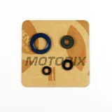 Sada gufer motoru -ATHENA- KTM Adventure 990 2006-2014, LC8 950 2002-2006, LC8 990 2005-2010, Super Duke 990 2007-2013, Super Enduro 950 2006-2011, Supermoto 950 2005-2008, Supermoto 990 2008-2013