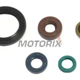 Sada gufer motoru -ATHENA- Kawasaki KLX 250 2007-2012