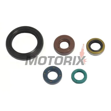 Sada gufer motoru -ATHENA- Kawasaki KLX 250 2007-2012