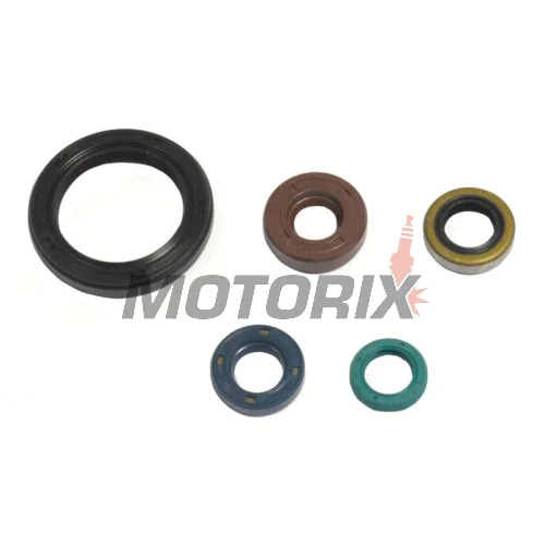 Sada gufer motoru -ATHENA- Kawasaki KLX 250 2007-2012