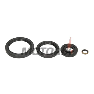 Opravná sada diferenciálu -ALL BALLS- Kawasaki KVF 360 2003-2013, KVF 650 2002-2003, 2005-2013, KVF 700 2004-2006, KVF 750 2005-2014, Suzuki LT-V 700 2004-2006