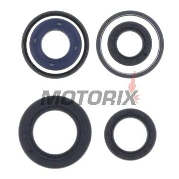 Kompletní sada gufer motoru -ATHENA- Peugeot Buxy 50 1994-1998, Elystar 50 2003-2005, Jet Force 50 2003, Looxor 50 2001-2003, Ludix 50 2004-2006, Metalx50 2002, Speedake 50 1994-1997, Speedfight 50 1997-2000