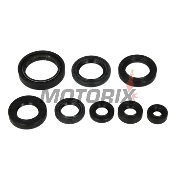 Kompletní sada gufer motoru -ATHENA- Honda CRM 125 1990-1996, NSR 125 1988-2003