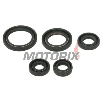 Sada gufer motoru -WINDEROSA- Yamaha YFM 50 2004-2008