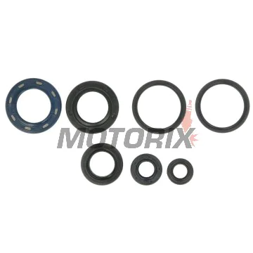 Kompletní sada gufer motoru -ATHENA- Beta Eikon 125/150 1999-2002, Kymco Bet&Win 125/150 2000/2003-2004, Dink 125 1997-2000/2002-2003/2006, Dink 150 1997-2000/2002-2003, Grand Dink 125/150 2001-2004