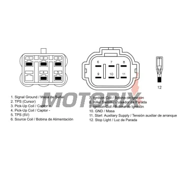 CDI -DZE- HONDA CRF 450 2005-2017