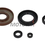 Sada gufer motoru -WINDEROSA- Honda TRX 500 2000-2014