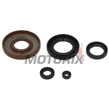 Sada gufer motoru -WINDEROSA- Honda TRX 500 2000-2014