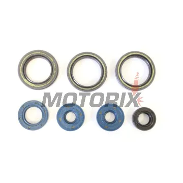 Kompletní sada gufer motoru -ATHENA- Aprilia Classic 125 1996-2001, MX 125 2004-2006, RS 125 1995-2010, RX 125 1995-2001