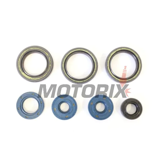 Kompletní sada gufer motoru -ATHENA- Aprilia Classic 125 1996-2001, MX 125 2004-2006, RS 125 1995-2010, RX 125 1995-2001