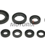 Sada gufer motoru -WINDEROSA- Honda TRX 250 2001-2021