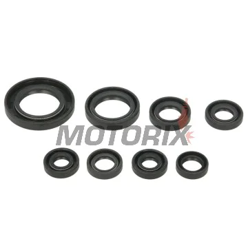 Sada gufer motoru -WINDEROSA- Honda TRX 250 2001-2021