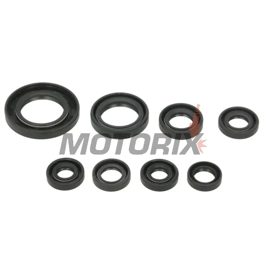 Sada gufer motoru -WINDEROSA- Honda TRX 250 2001-2021