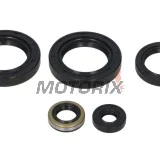 Sada gufer motoru -WINDEROSA- Kawasaki KVF 300 1999-2002