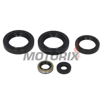 Sada gufer motoru -WINDEROSA- Kawasaki KVF 300 1999-2002