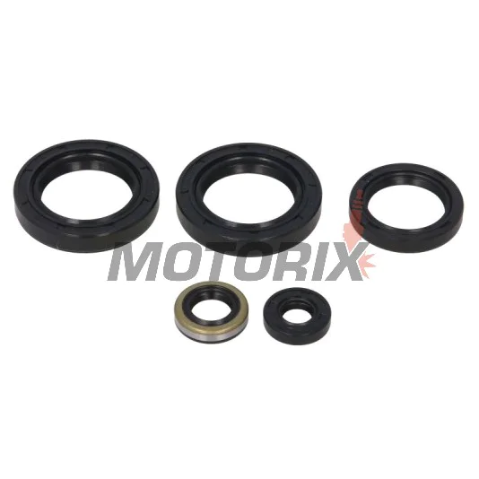 Sada gufer motoru -WINDEROSA- Kawasaki KVF 300 1999-2002