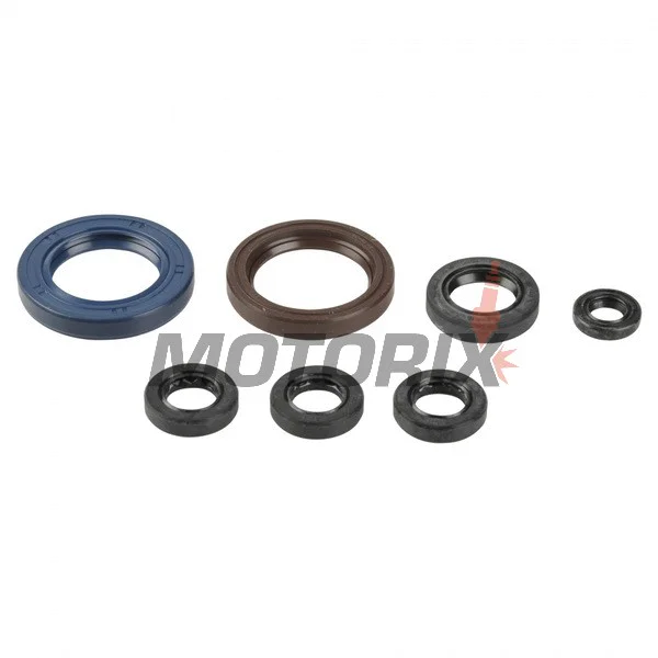 Kompletní sada gufer motoru -ATHENA- Beta RR 400/450/525 2005-2009, KTM EXC 400 2000-2006, EXC 520 2000-2002, EXC 250/450/525 2003-2006, EXC-G 250 Racing 2003, EXC-G 450/525 2003-2006, EXC-G 250/400 2004-2005