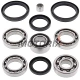 Opravná sada diferenciálu -ALL BALLS- Arctic Cat 300 2004, 366 2008-2011, 400 2004-2008, 2010-2014, 450 2010-2012, 500 2004-2009, 2013-2014, 550 2009-2014, 650 2004-2012, 686 2010, 700 2006-2015, Prowler 700 2008-2014