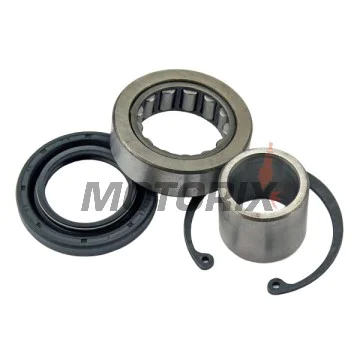 Opravná sada diferenciálu -ALL BALLS- Harley-Davidson FLD 1690 2012-2016, FLDE 1750 2018-2020, FLFB 1750 2018-2020, FLFBS 1870 2018-2021, FLHC 1750 2018-2021, FLHCS 1870 2018-2021, FLHP 1690 2011-2014, FLHP 1868 2020