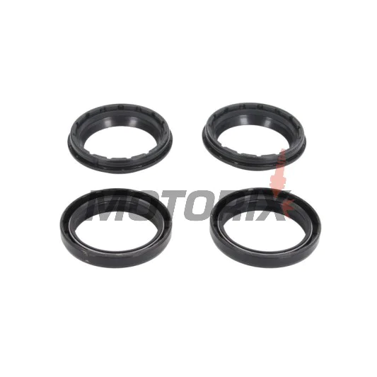 Sada gufer a prachovek přední vidlice -ALL BALLS- BMW R nineT 1170 2013-2016, S 1000 2010-2016, Moto Guzzi California 1400 2013