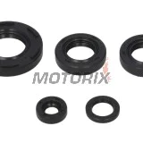 Sada gufer motoru -WINDEROSA- Kawasaki KFX 50 2003-2006, Suzuki LT-A 50 2002-2005