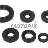 Sada gufer motoru -WINDEROSA- Can-Am DS 650 2000-2007