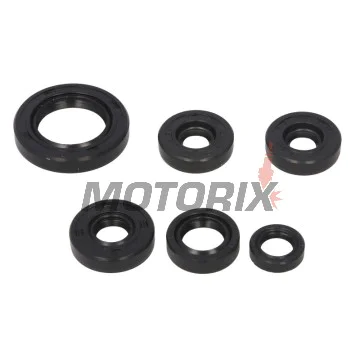 Sada gufer motoru -WINDEROSA- Can-Am DS 650 2000-2007