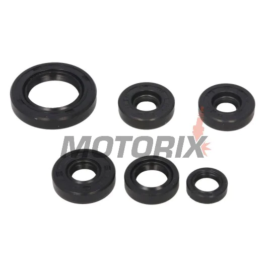 Sada gufer motoru -WINDEROSA- Can-Am DS 650 2000-2007