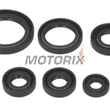 Sada gufer motoru -WINDEROSA- Kawasaki KEF 300 1995-2003