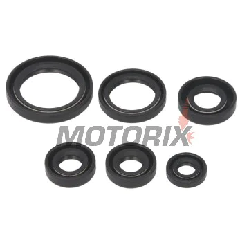 Sada gufer motoru -WINDEROSA- Kawasaki KEF 300 1995-2003