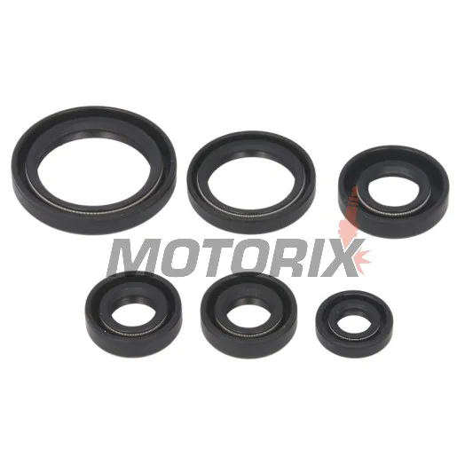 Sada gufer motoru -WINDEROSA- Kawasaki KEF 300 1995-2003