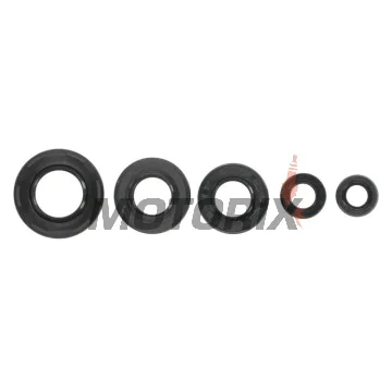 Kompletní sada gufer motoru -ATHENA- Suzuki GT 50 1977-1981, LT 80 1987-2004, TS 50 1978-1991, ZR 50 1979-1990