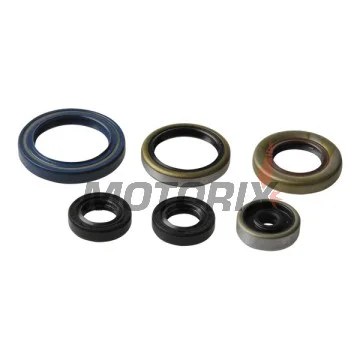 Sada gufer motoru -ATHENA- Husqvarna TC 85 2014-2017, KTM SX 85 2003-2017, SX 105 2004-2011, XC 85 2003-2013, XC 105 2004-2011
