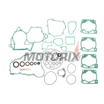 Kompletní sada těsnění motoru -ATHENA- Beta RR 250/300 2013-2022