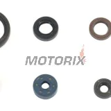 Sada gufer motoru -ATHENA- Fantic XE 450 2022-2023, Yamaha WR 450 2016-2023, YZ 450 2014-2023