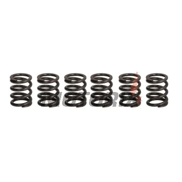 Sada pružin spojky -TRW- MEF373-6, Honda CB750F2 Seven Fifty (1992-2003), Kawasaki ZXR400L (1991-1999), Suzuki GN250 (1989-1999), VL125/125LC Intruder (2000-2008)