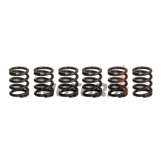 Sada pružin spojky -TRW- MEF373-6, Honda CB750F2 Seven Fifty (1992-2003), Kawasaki ZXR400L (1991-1999), Suzuki GN250 (1989-1999), VL125/125LC Intruder (2000-2008)