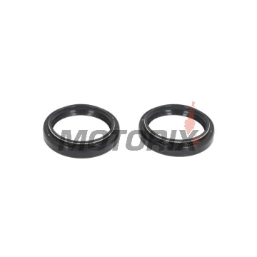 Gufera přední vidlice -ALL BALLS- BMW R nineT 1170 2013-2016, S 1000 2010-2016, Moto Guzzi California 1400 2013