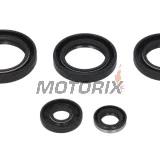 Sada gufer motoru -WINDEROSA- Kawasaki KVF 400 1997-2002